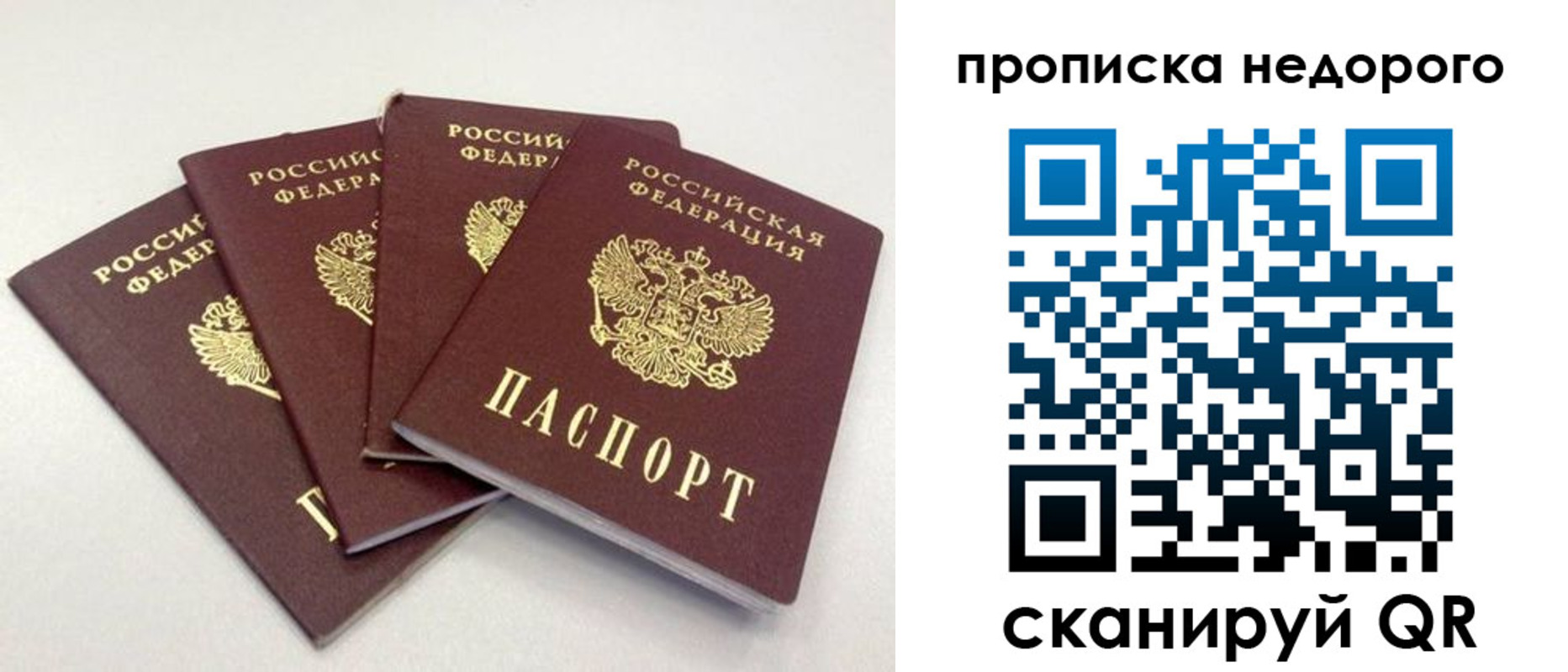прописка законно в Шатуре